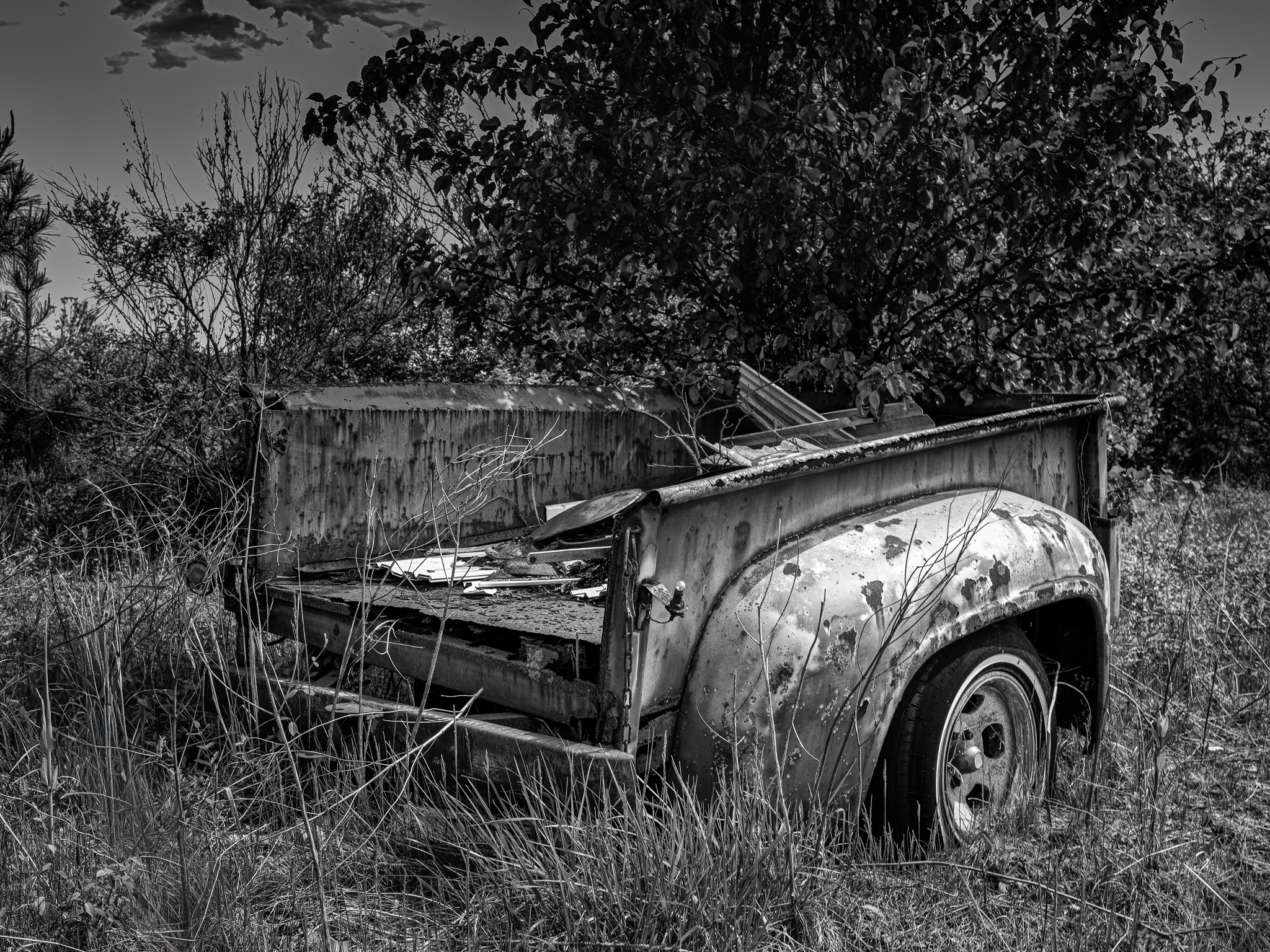 Open Mono Level 2 3rd Place Where the Road Ends.jpg